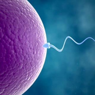 infertility treatment